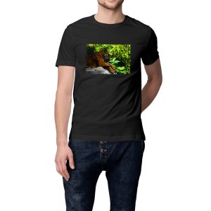 T-shirt Tiger Bio - Philippe Morelle Photographe